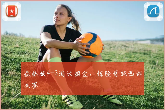 森林狼4-3淘汰掘金,惊险晋级西部决赛